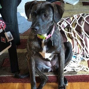 Meet your Posher, Mary